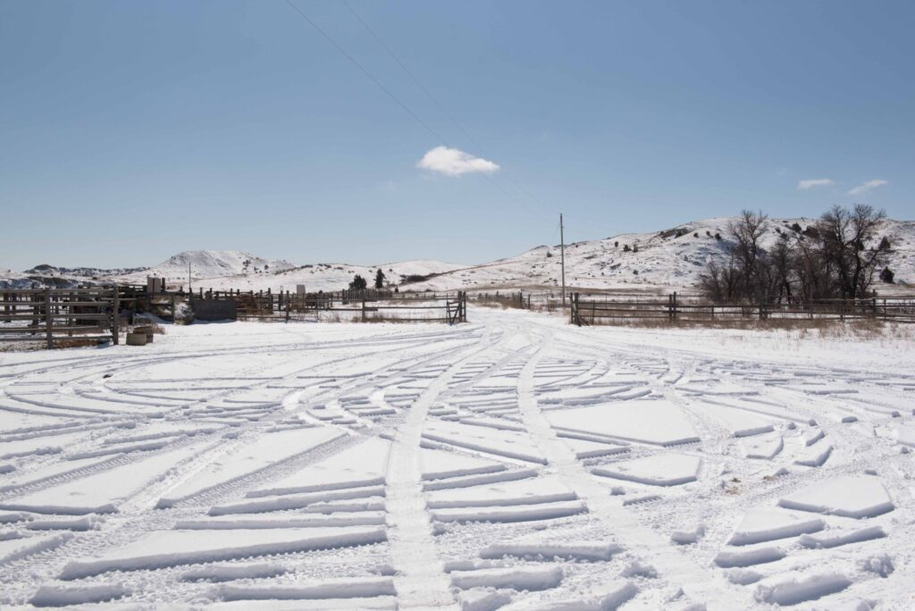 Snow! How do we keep it? Photo of a ranch yard and tire tracks in the snow.